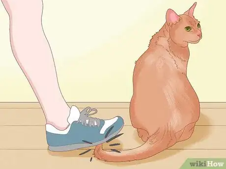 Imagen titulada Apologize to a Cat Step 2