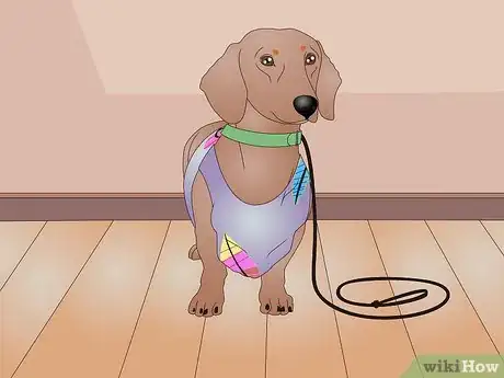 Imagen titulada Make a Dog Coat Step 32