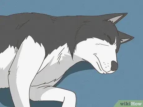 Imagen titulada Know When Your Dog is Sick Step 3
