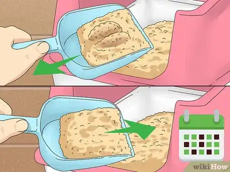 Imagen titulada Get a Cat to Stop Meowing Step 11
