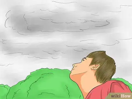 Imagen titulada Clean Roof Shingles Step 1