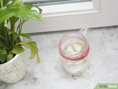 Imagen titulada Make a Fly Trap Step 26