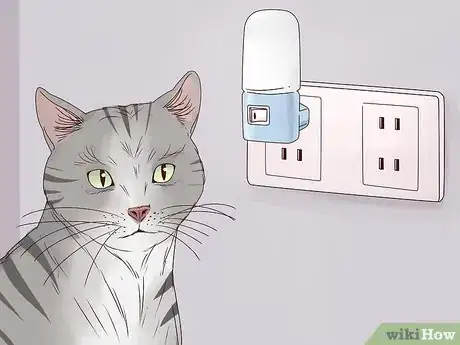 Imagen titulada Get a Cat to Stop Meowing Step 10