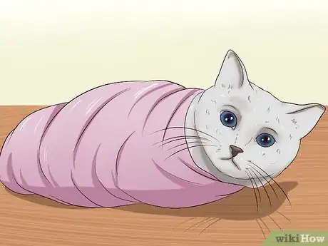 Imagen titulada Sedate a Cat Step 13