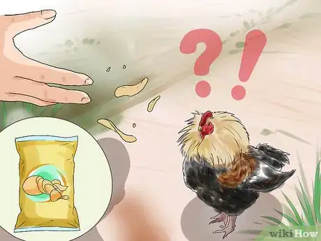 Imagen titulada Protect Yourself from an Attacking Rooster Step 1
