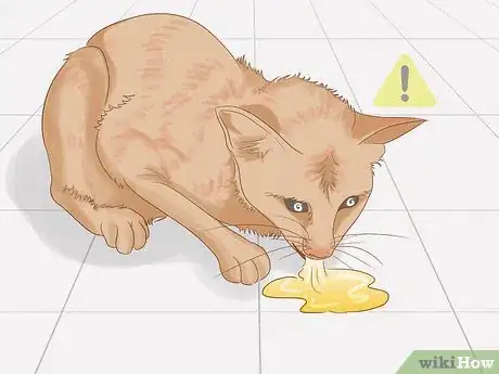 Imagen titulada Identify Worms in a Cat Step 4