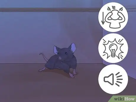 Imagen titulada Humanely Kill a Rodent Step 18