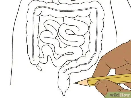 Imagen titulada Draw a Model of the Digestive System Step 11