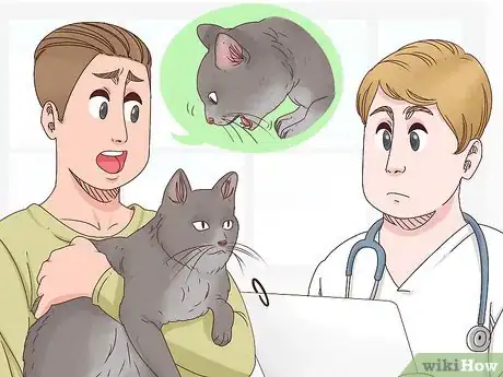 Imagen titulada Help a Cat Cough Up a Hairball Step 10