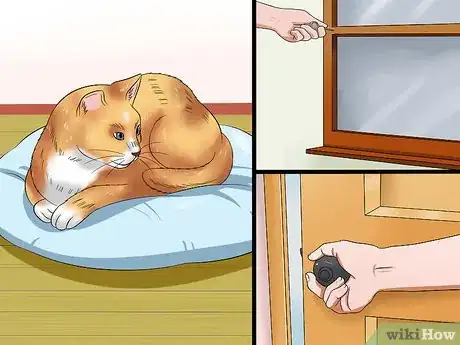 Imagen titulada Calm a Cat Step 4