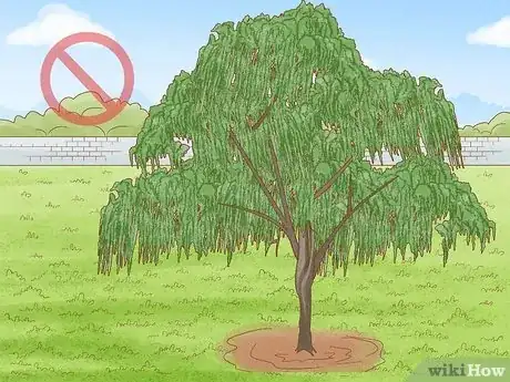 Imagen titulada Choose Plants for Good Feng Shui Step 5