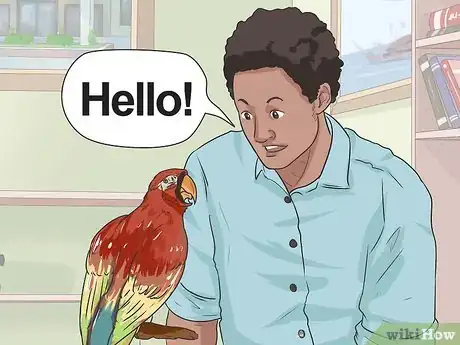 Imagen titulada Teach Your Bird to Talk Step 4
