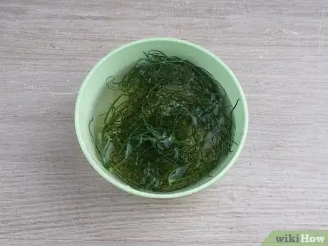 Imagen titulada Preserve Fennel Step 10