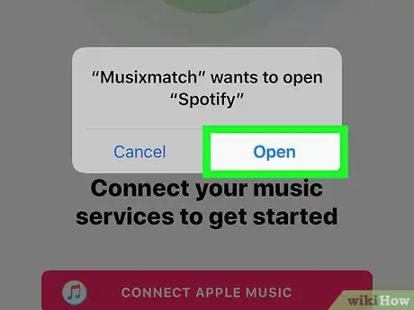 Imagen titulada Show Lyrics on Spotify on iPhone or iPad Step 9