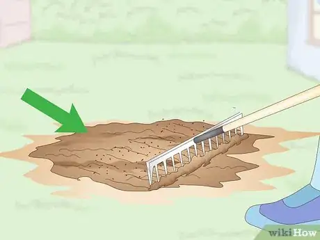 Imagen titulada Get Rid of an Ant Hill Step 10