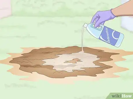 Imagen titulada Get Rid of an Ant Hill Step 11