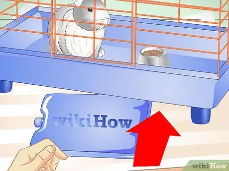 Imagen titulada Keep Pet Rabbits Cool Step 4