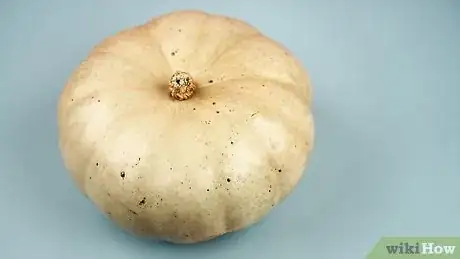 Imagen titulada Paint a Pumpkin Step 1