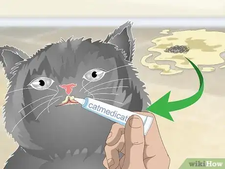 Imagen titulada Help a Vomiting Cat Step 5