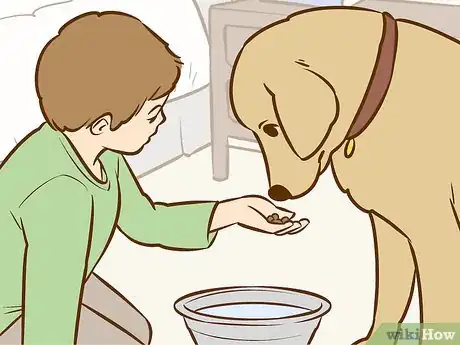 Imagen titulada Persuade Your Parents to Get a Dog Step 12