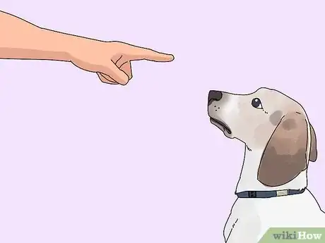 Imagen titulada Make a Cat and Dog Get Along Step 11