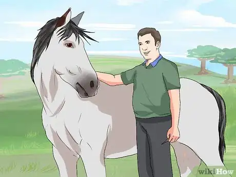 Imagen titulada Take a Horse's Temperature Step 8