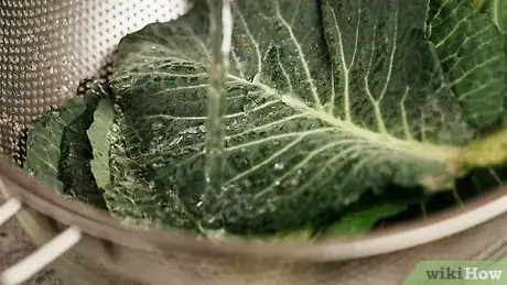 Imagen titulada Cook Turnip Greens Step 1