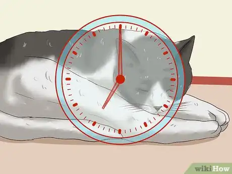 Imagen titulada Sedate a Cat Step 10