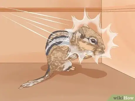 Imagen titulada Humanely Kill a Rodent Step 15