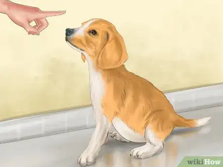 Imagen titulada Discipline Your Puppy Step 11