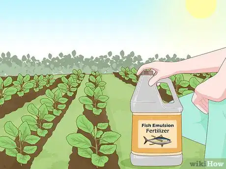 Imagen titulada Improve Soil Step 2