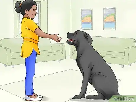 Imagen titulada Identify a Mastiff Step 12