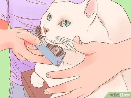 Imagen titulada Reduce Stress in Cats Step 12