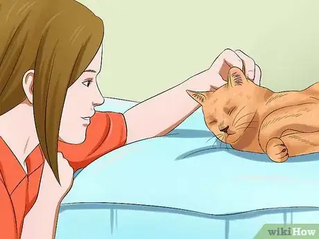 Imagen titulada Calm a Cat Step 2