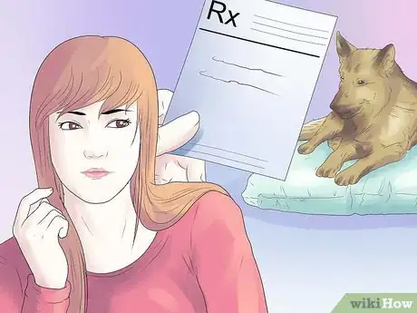 Imagen titulada Remove Ear Mites from a Dog Step 13