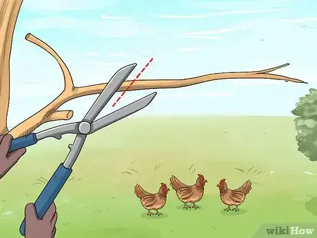 Imagen titulada Keep Owls Away from Chickens Step 7