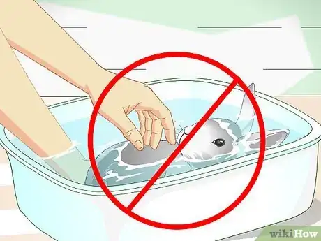Imagen titulada Keep Pet Rabbits Cool Step 8