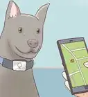 encontrar a un perro perdido
