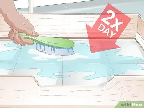 Imagen titulada Keep a Whelping Box Clean Step 5