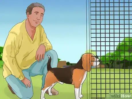 Imagen titulada Train a Dog for Rabbit Hunting Step 11