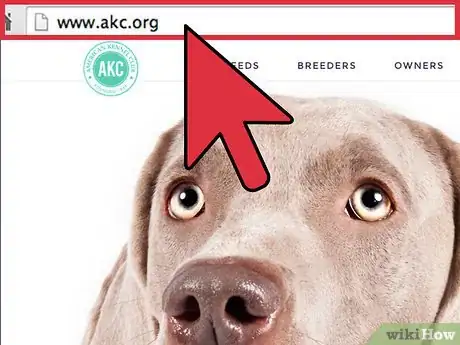 Imagen titulada Buy a Labrador Retriever Puppy Step 9