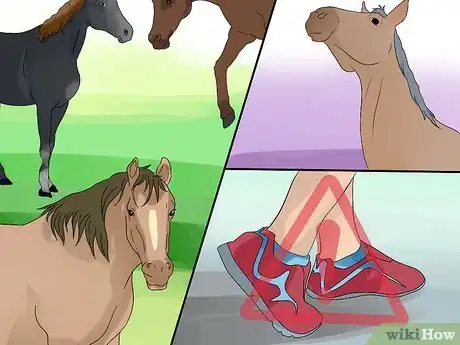 Imagen titulada Train a Horse to Respect You Step 2