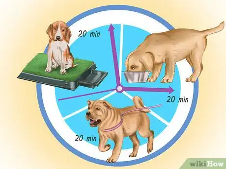 Imagen titulada Discipline Your Puppy Step 10