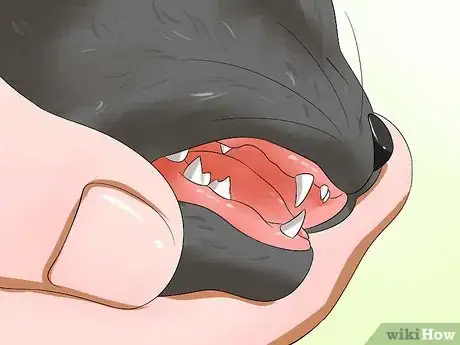 Imagen titulada Get Your Cat Out of the Malnutrition Stage Step 5