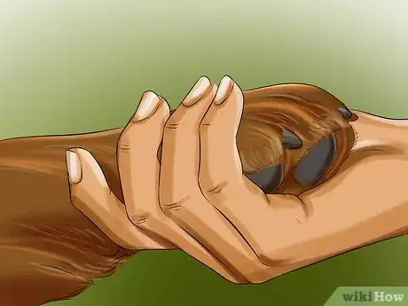 Imagen titulada File Puppy Nails Step 7