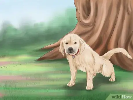 Imagen titulada Discipline Your Puppy Step 12