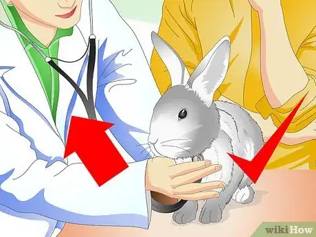 Imagen titulada Keep Pet Rabbits Cool Step 9