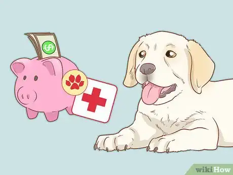 Imagen titulada Take Care of a Dog Step 10