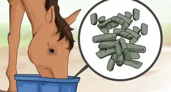 desparasitar a un caballo