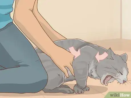 Imagen titulada Save a Choking Cat Step 9